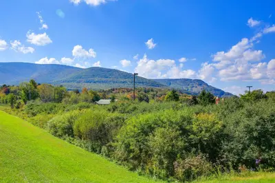 a green field with trees and mountains in the background at Hunter Hideaway with Yard and Deck 3 Mi to Ski Slopes in Hunter