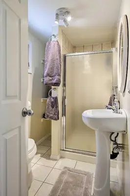a bathroom with a shower and a sink and a toilet at Picturesque Cottage with Sunroom on Ashmere Lake! in Hinsdale