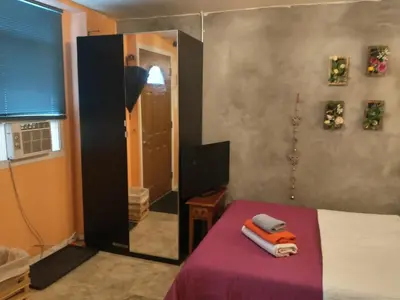 a bedroom with a bed and a mirror in a room at Cozy studio at the heart of Jackson Heights in Queens