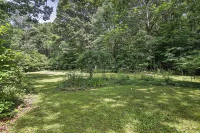 a field of grass with trees in the background at Historic Huntington Home - Walk to Westfield River in Huntington