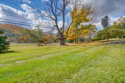 a green field with a tree in the middle at Peaceful Catskills Condo with Deck and Mountain View! in Windham