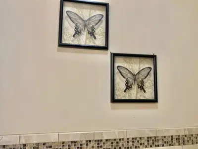 three pictures of butterflies on a white wall at Historical Neighborhood Home in New Rochelle