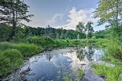 a river in the middle of a field with trees at Luxury Home with Deck Explore the Catskill Mtns! in Windham