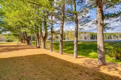 a row of trees in a park with grass at Relaxing Catskills Apt Less Than 3 Mi to Windham Mountain! in Windham