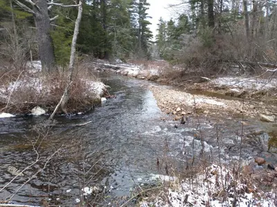 a stream in the woods with snow on the ground at Two Brooks Lodge in Bennington
