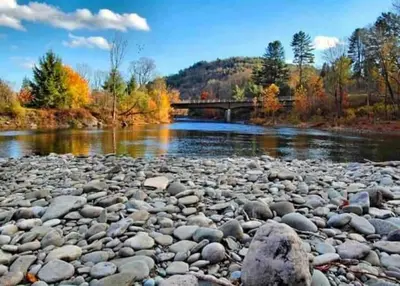 a river with rocks and a bridge in the background at Trout Town Inn in Roscoe