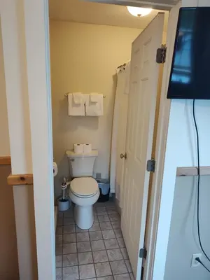 a small bathroom with a toilet and a television at Doveberry Inn in West Dover