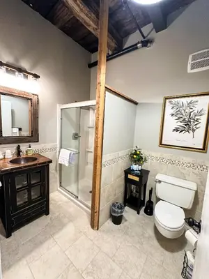 a bathroom with a shower and a toilet and a sink at Old Mill Inn in Hatfield