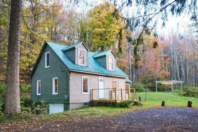 a house with a green roof in the woods at Cozy Cottage with Jacuzzi, Sauna, Fire Pit and Reading Nook! in Livingston Manor