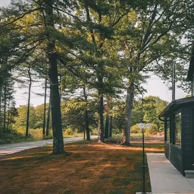 Pinewood Lodge - Catskills