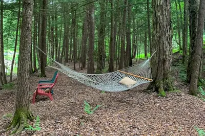 a hammock and a chair in the woods at Secluded Sanctuary in West Wardsboro