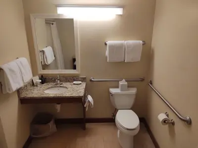 a bathroom with a toilet and a sink and a mirror at Grand Summit Resort, A Vail Resorts Property in Dover