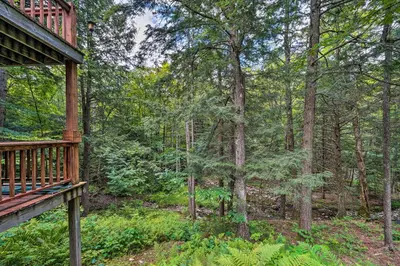 a view from the porch of a cabin in the woods at Spacious Dover Home with Sauna Less Than 5 Miles to Ski! in Dover