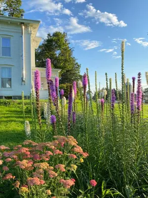 a garden with purple flowers in front of a house at Bloom Farm Guesthouse in Mount Vision