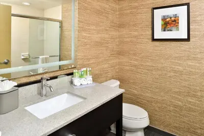 a bathroom with a sink and a toilet and a mirror at Holiday Inn Express & Suites Peekskill-Lower Hudson Valley by IHG in Peekskill