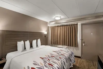 a hotel room with a large bed and a window at Red Roof Inn Enfield in Enfield