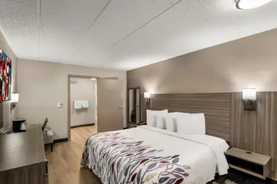 a hotel room with a bed and a television at Red Roof Inn Enfield in Enfield
