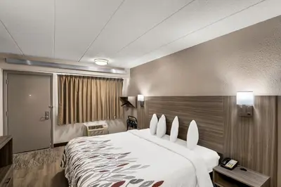 a hotel room with a large bed and a window at Red Roof Inn Enfield in Enfield
