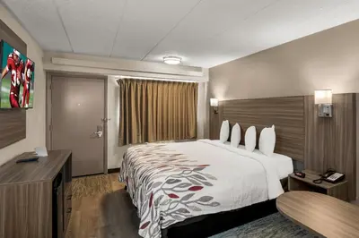 a hotel room with a large bed and a desk at Red Roof Inn Enfield in Enfield