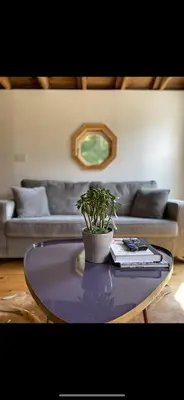 a table with a potted plant on it in a living room at The Cabin at Parkhill in Downsville