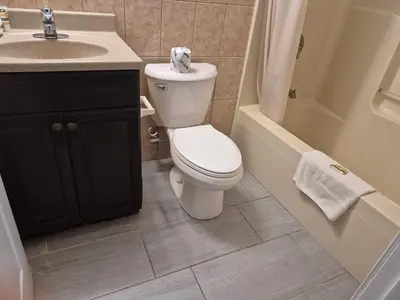 a bathroom with a toilet and a sink and a tub at Maple leaf motel in New Milford