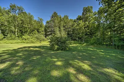 a bush in a field with trees in the background at Modern Studio Less Than 13 Mi to Saratoga Racetrack! in Ballston Spa
