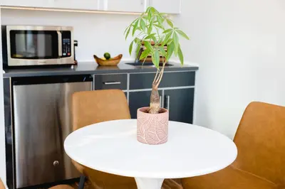 a potted plant sitting on a white table in a kitchen at The Modernist Hotel in Long Island City