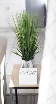 a plant sitting on a table with a sign that reads ever at Lakeside Reflections in Oxford