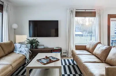 a living room with a couch and a tv at Acorn Bungalow - Luxury Cabin, Catskills, Windham Mountain, Hunter Mountain in Cairo