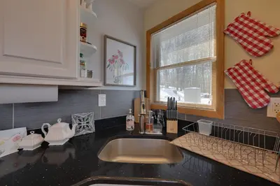 a kitchen with a sink and a window at Large Deck and Resort Amenities Lake Ariel Retreat in Lake Ariel