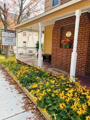 a bed of yellow flowers in front of a house at Homesteading at 55 main in Stamford