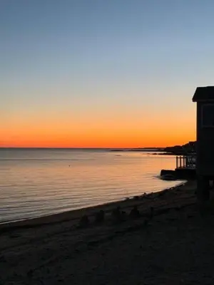 a group of birds on the beach at sunset at Cozy Beach - Direct Waterfront! in East Haven