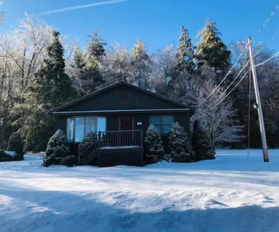 a small house in the snow with christmas trees at Catskills Cottage with Lake View Book Now in Rock Hill
