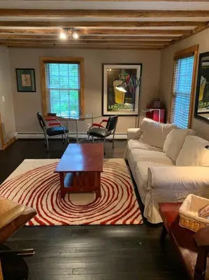 a living room with a couch and a table at Harpersfield House /North West Catskills + sauna in Jefferson