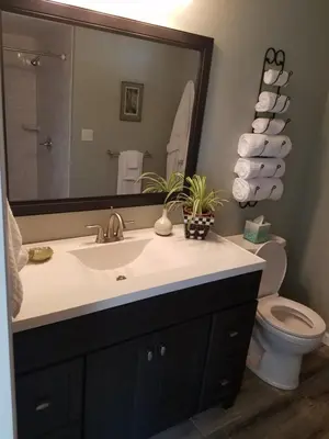 a bathroom with a sink and a toilet and a mirror at Cottage at Millpond Falls - A Romantic Escape in Warwick