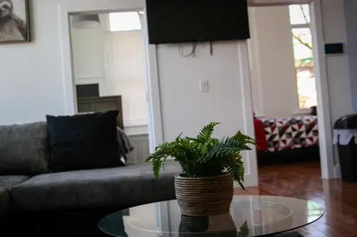 a living room with a couch and a table with a plant at A Luxurious 5 star Location 2 QUEEN Bed’s TROY in Troy