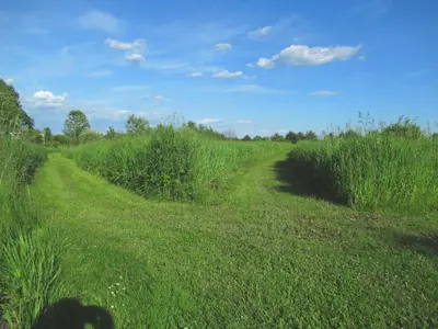a field of grass with two roads in it at Saratoga Farmstead B&B in Saratoga Springs