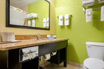 a bathroom with a sink and a toilet and a mirror at Quality Inn & Suites Glenmont - Albany South in Glenmont