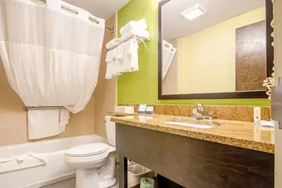 a bathroom with a toilet and a sink and a mirror at Quality Inn & Suites Glenmont - Albany South in Glenmont