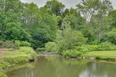a stream of water with trees in the background at Quiet Country Escape Fire Pit, Fish On-Site! in Leonardsville