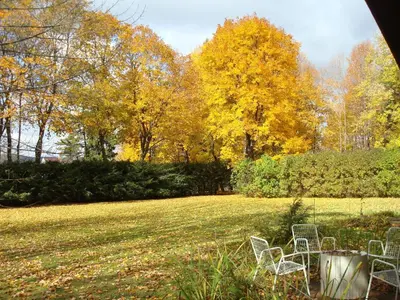 a group of chairs sitting in a field with trees at The Cottage in Stockbridge