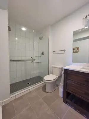 a bathroom with a shower and a toilet and a sink at The Hidden Inn in South Kortright