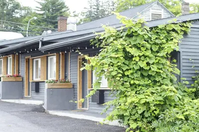 a house with a ivy growing on the side of it at The Vine on Main in Stamford