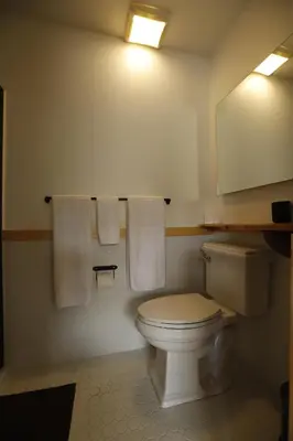 a bathroom with a toilet and a mirror and towels at The Vine on Main in Stamford