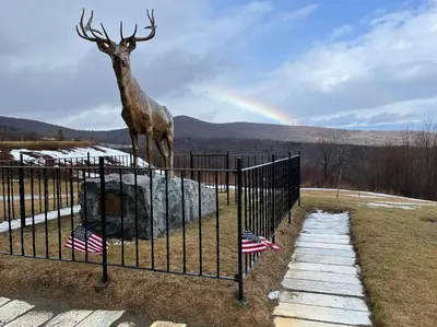 a giraffe standing on top of a fence with two american flags at Blue Vista Motor Lodge in Florida