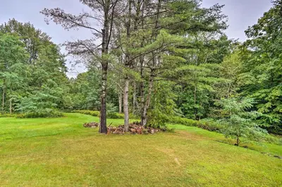 a tree in the middle of a grass field at Secluded Getaway Less Than 10 Mi to Saratoga Springs! in South Corinth