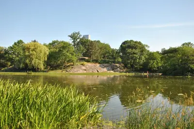a lake in a park with trees and grass at Home NYC in New York