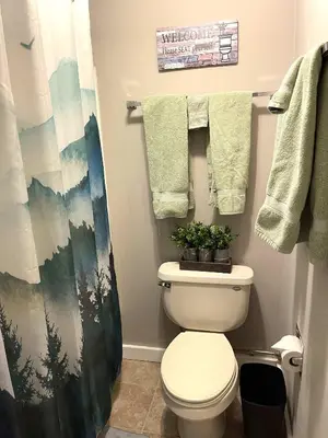 a bathroom with a white toilet and towels at Deluxe Ski On Off 1BR Suite Sleeps 4 on Jiminy Mtn in Hancock