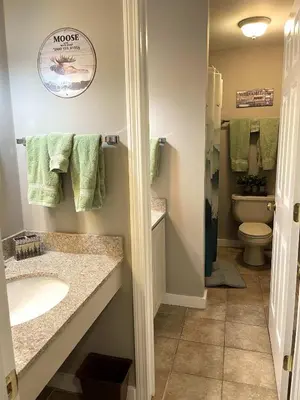 a bathroom with a sink and a toilet at Deluxe Ski On Off 1BR Suite Sleeps 4 on Jiminy Mtn in Hancock