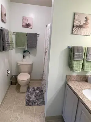 a white bathroom with a toilet and a sink at Gorgeous New Zen Suite Sleeps 4-Ski On Off Jiminy in Hancock
